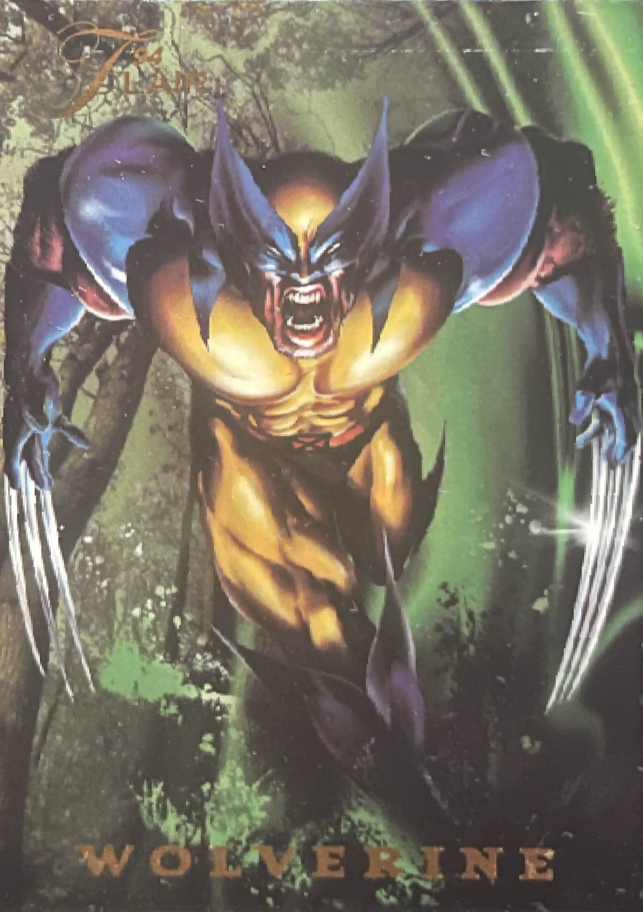 8 Wolverine (front)