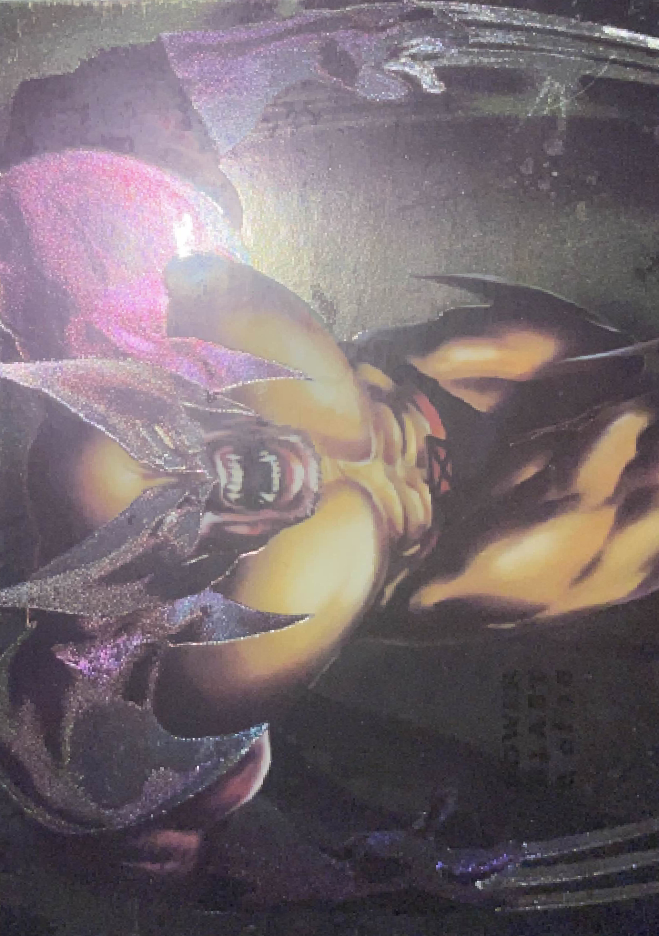 8 Wolverine (back)